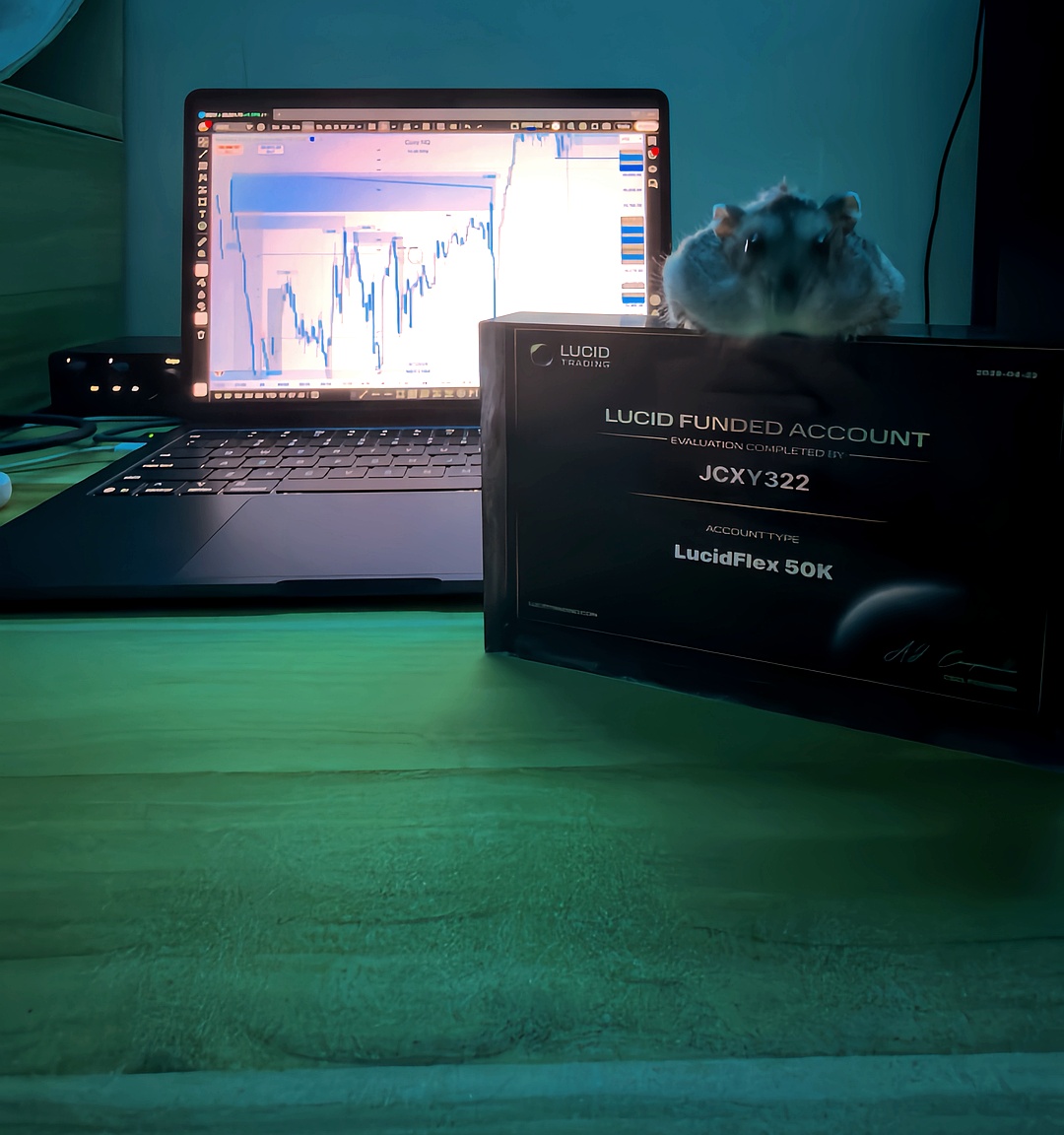 TraderPlaque with hamster